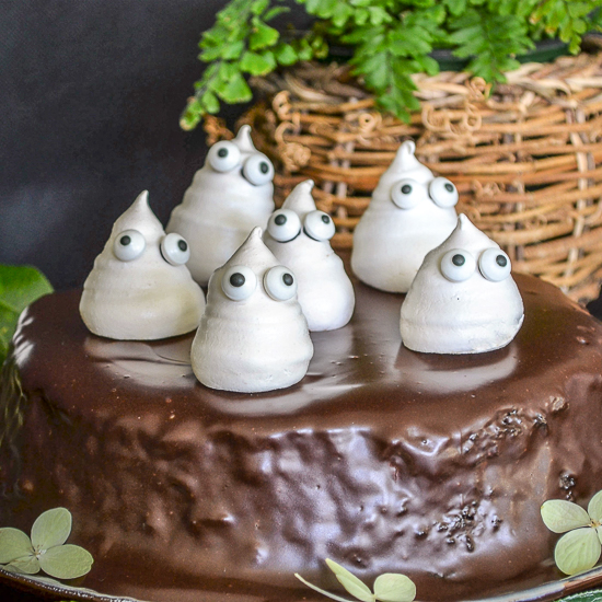 Chocolate Olive Oil Cake