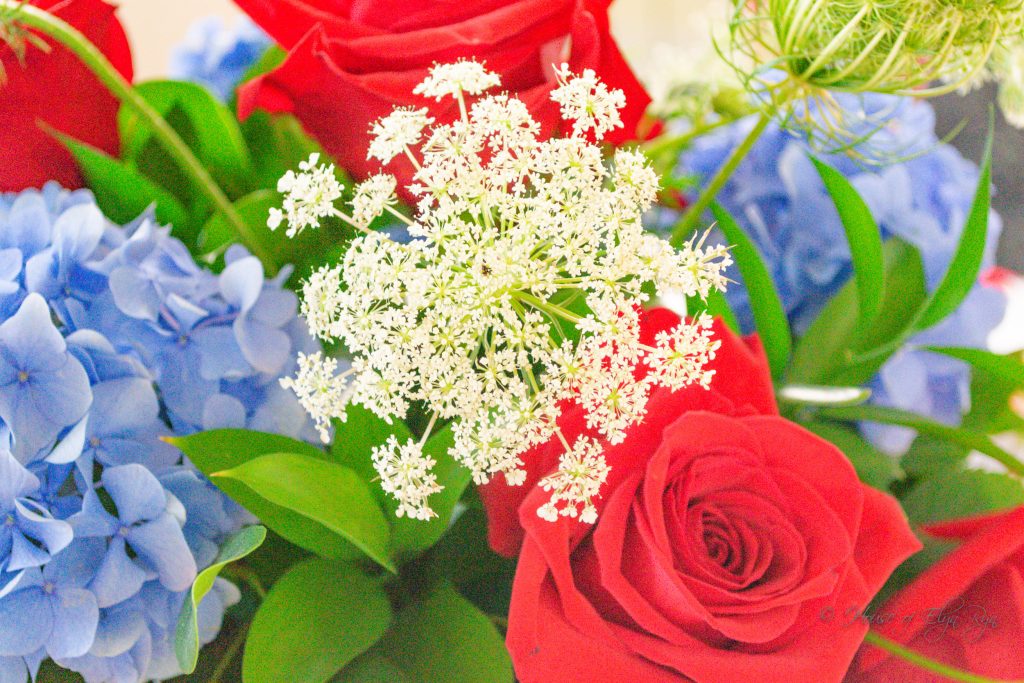 The Beauty of Red, White & Blue