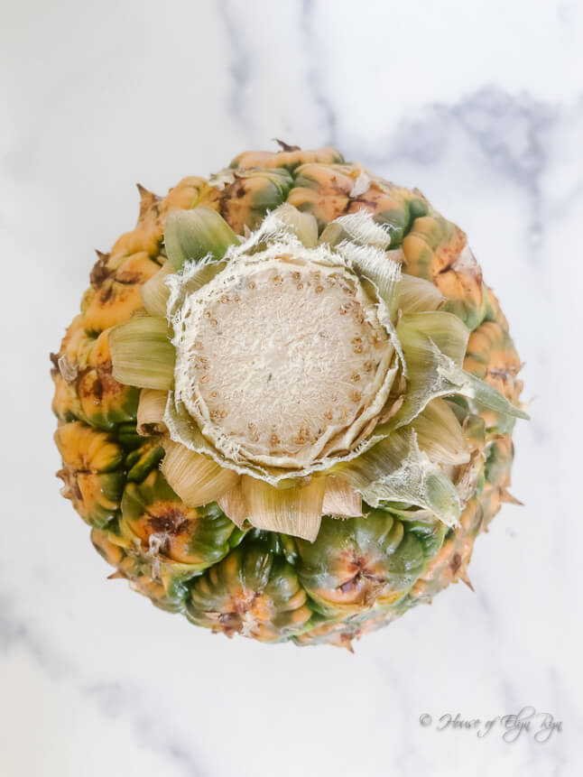 Pink Pineapple shown the way they are sold with the crown removed