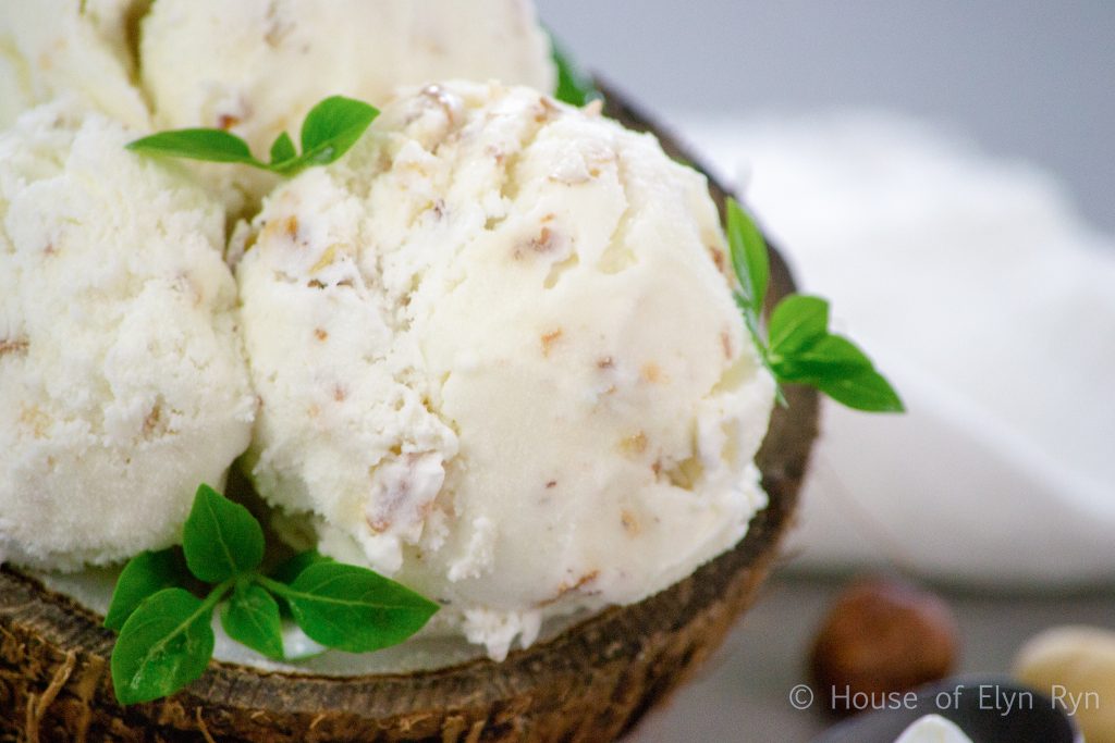 Coco-Nutty Ice Cream