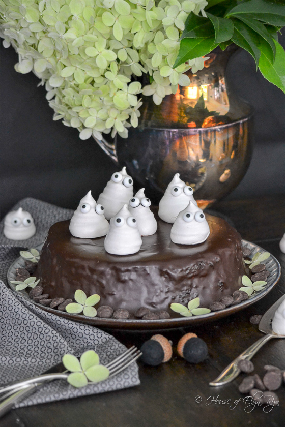 Chocolate Olive Oil Cake