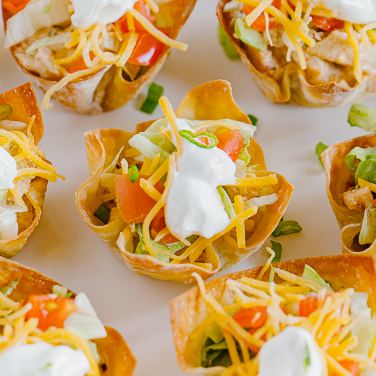 Wonton Chicken Taco Salads