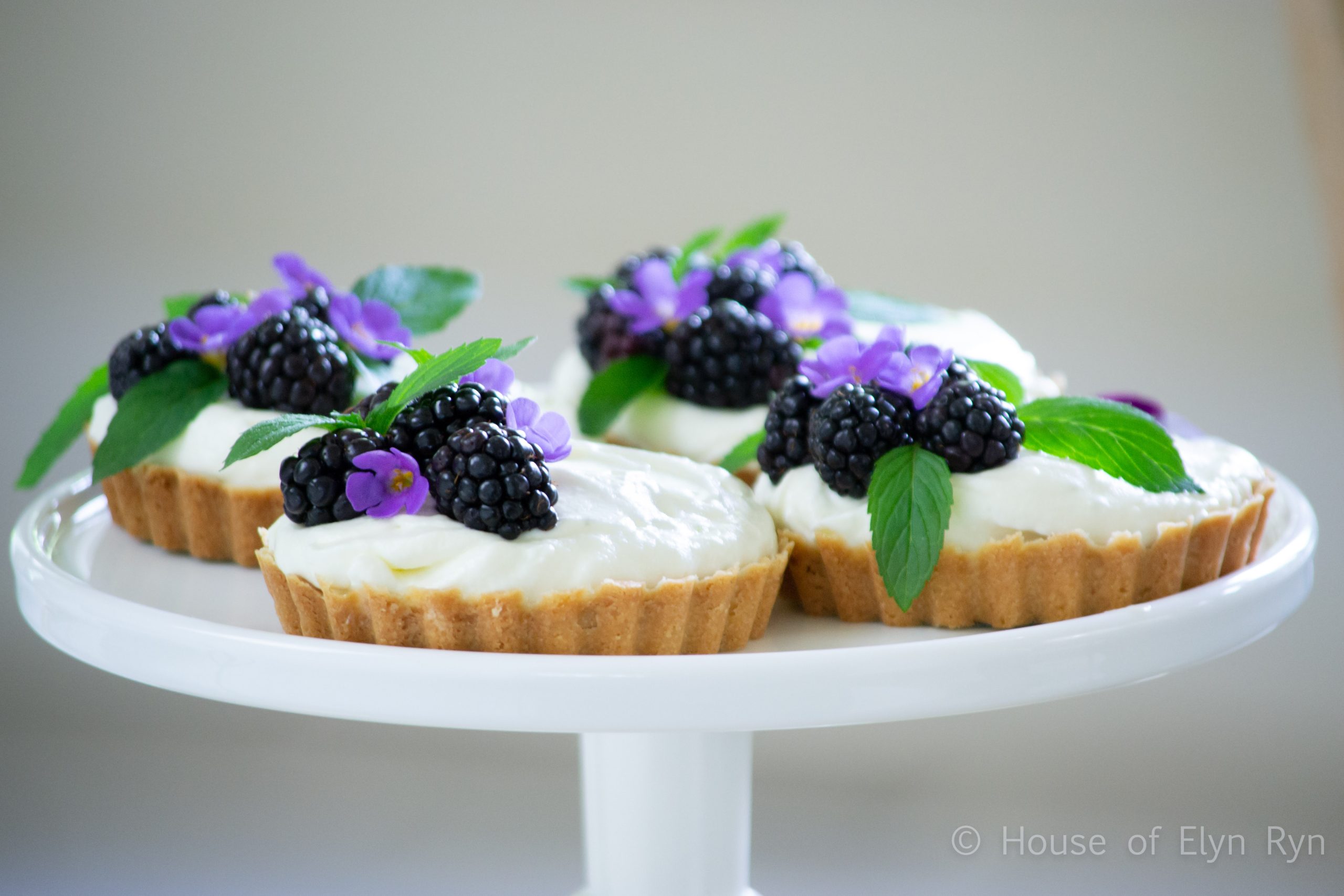 Blackberry Lime Tarts
