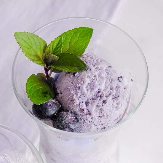 Blueberry Ice Cream