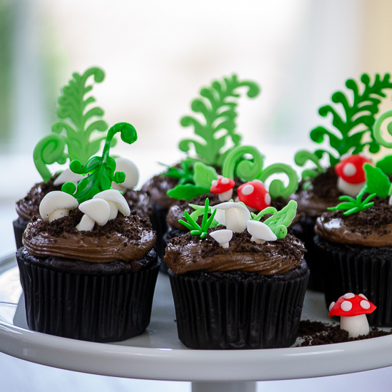 Terrarium Chocolate 
Cupcakes