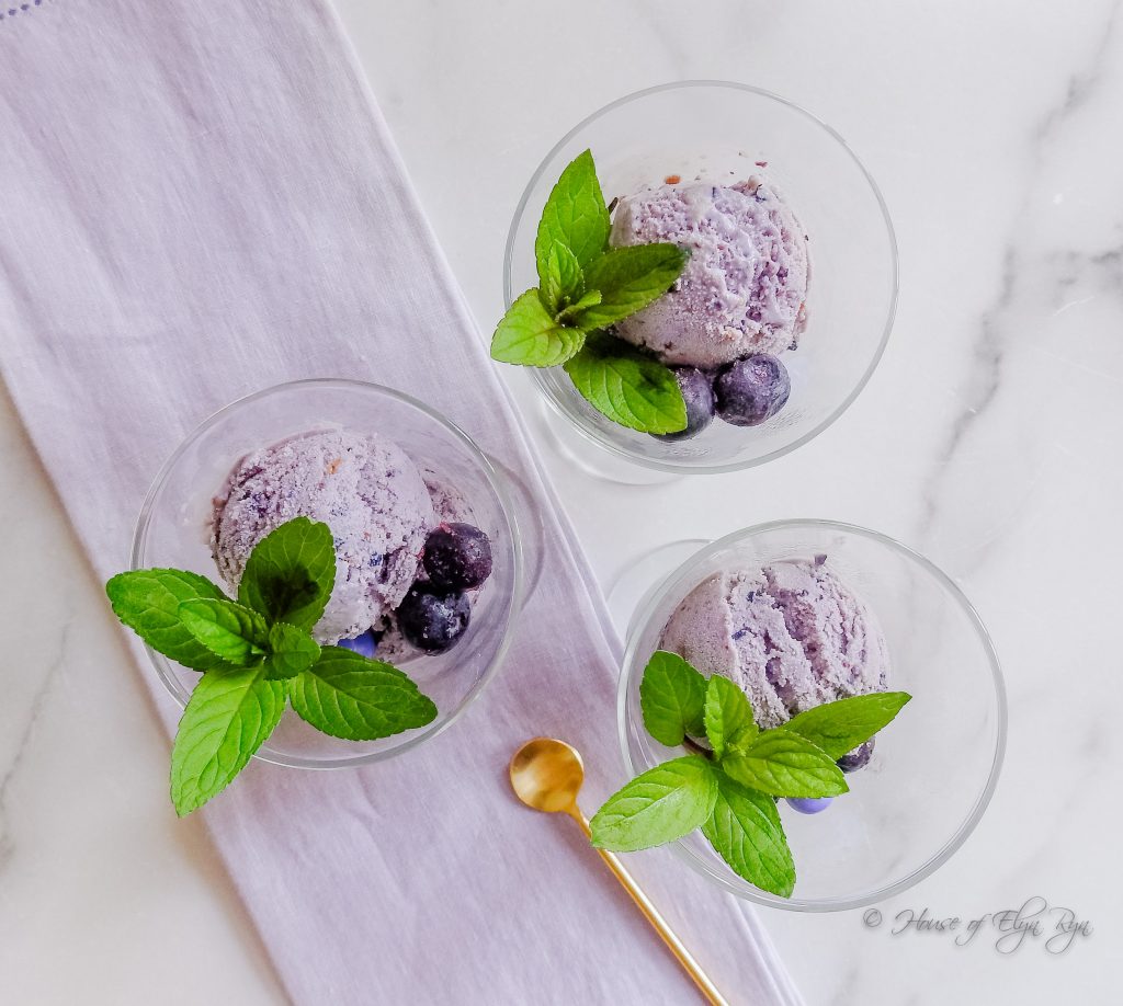 Blueberry Ice Cream
