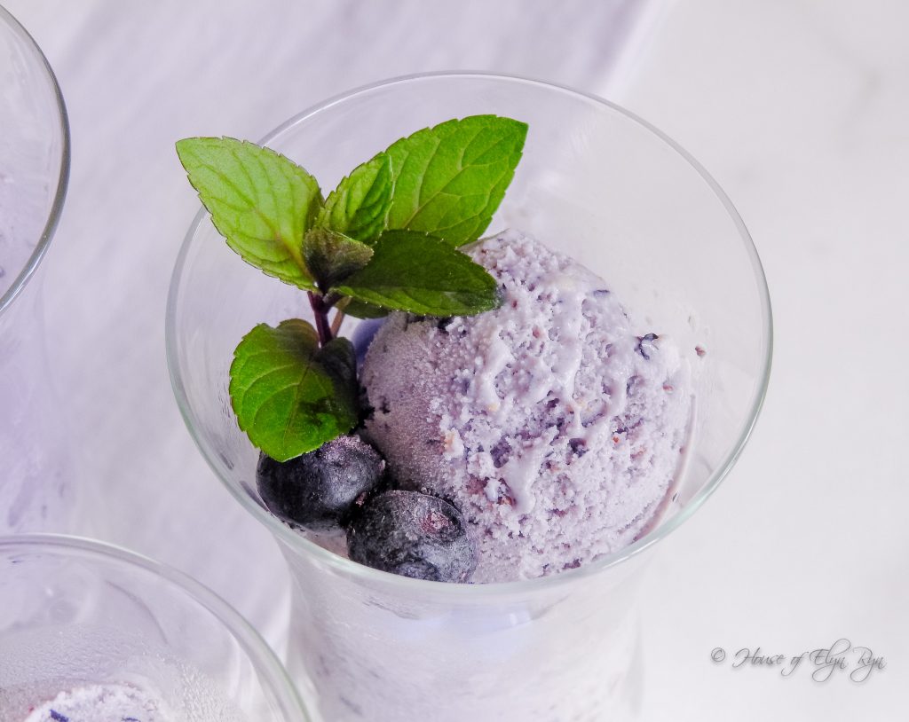 Blueberry Ice Cream