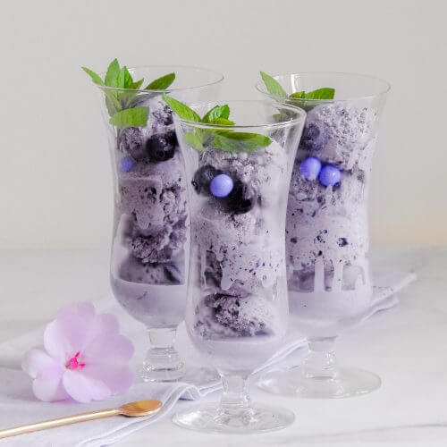 Blueberry Ice Cream