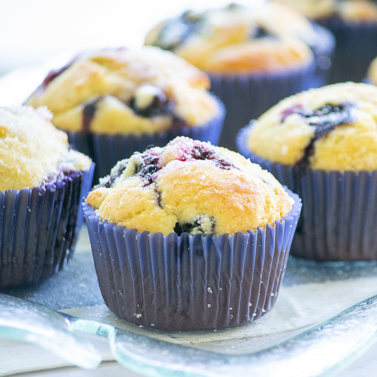 Buttermilk Blueberry Muffins