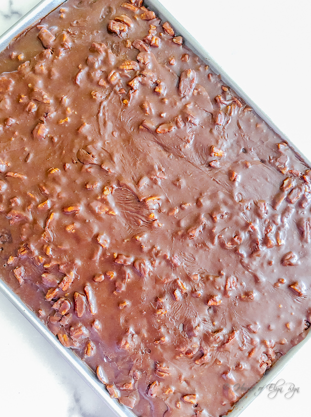 Texas Sheet Cake