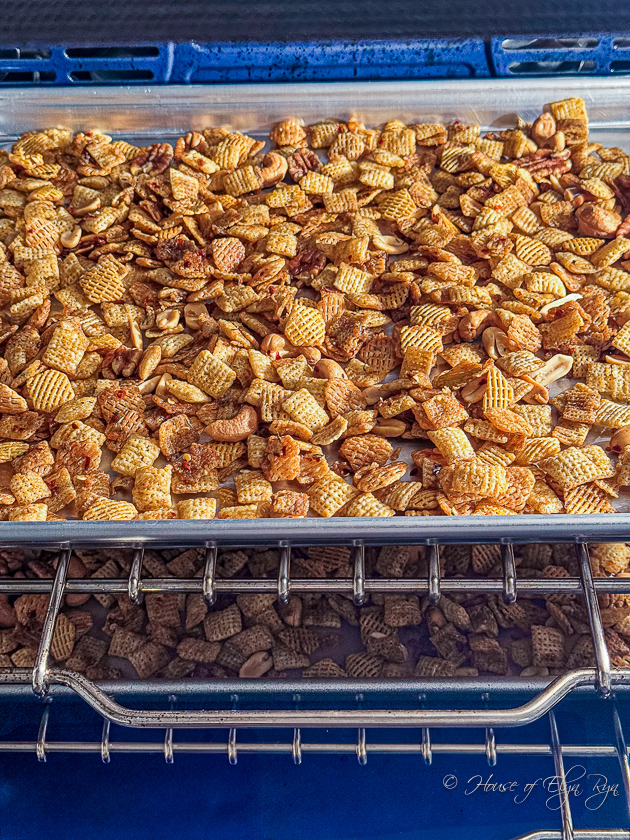 Hot & Spicy Party Mix