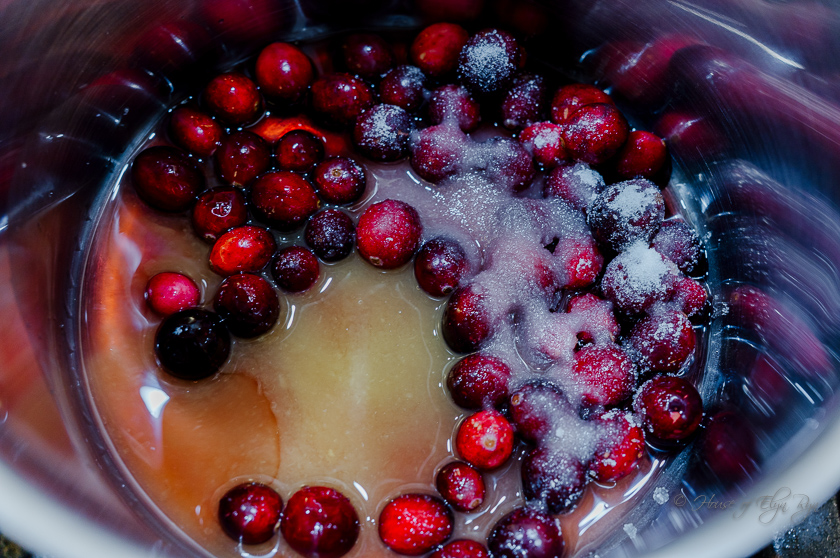 Cranberry Turkey Sliders