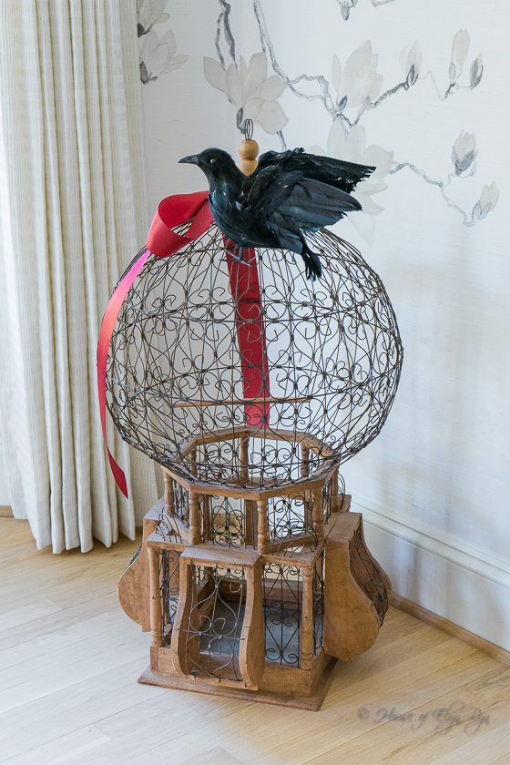 Bird Cage with Black Bird