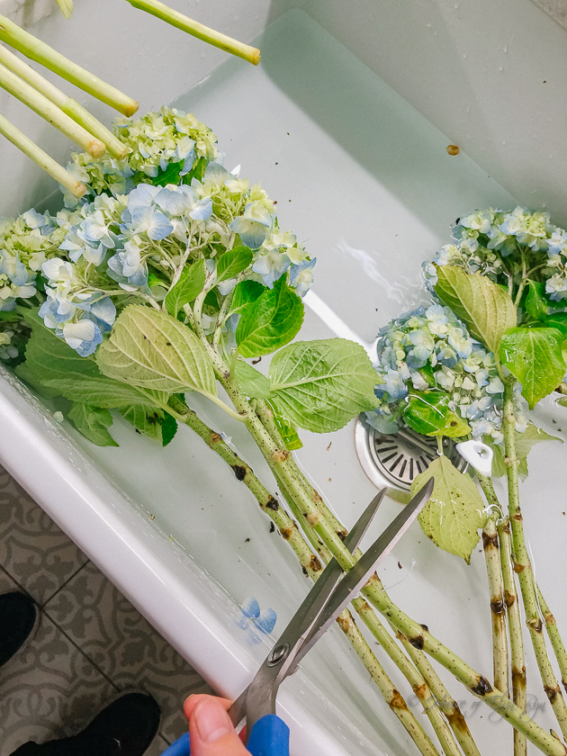Cut the stems.